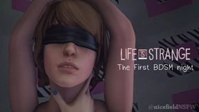 Life is Strange: The First BDSM Night (Max & Chloe).