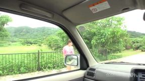 Hitch hiking babe pov dick sucking