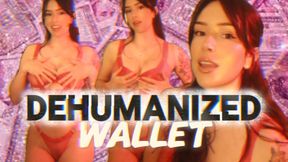 DEHUMANIZED WALLET: FinDom human ATM training