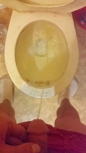 Peeing and cock play in bathroom.