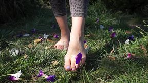 Crushing Flowers Barefoot In The Grass 4K