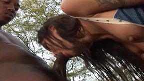 White girls prefer black ice cream - Interracial outdoor anal fuck in a car