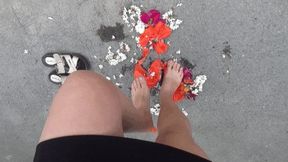 crush and jump on flowers barefoot and wearing flip flops BF