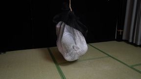 xr293-Put the girl in a sack