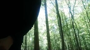 en foreten foret