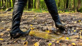 Heels vs. The Forest: A Test of Strength