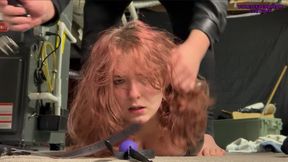 Cat Burglar Caught: Hogtied, Gagged, and Toyed With Until She Breaks!