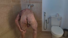 Hairy Bear on Holiday