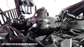 Wake up in my rubber cocoon