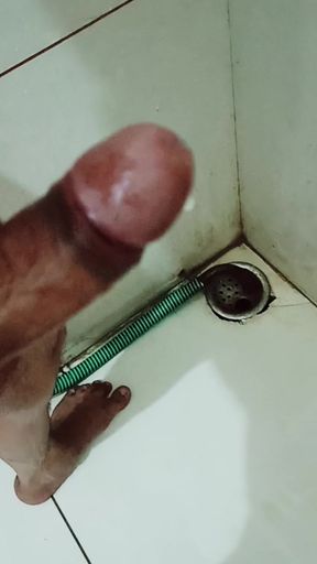 Indian desi land