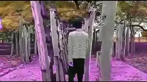 Saads Steamy Hentai Adventure: Three Beauties Tempt Fate in Wild Tryst