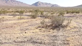 Desert Blowjob Fc