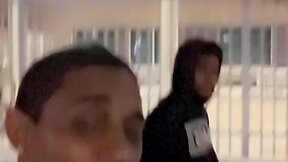 Ray and ace: a tale of friendship