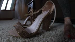 My Rose Gold Colored Shoes, 1st