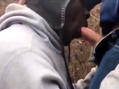 Three Gay Amateurs in the Woods