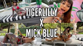 Tigerlilly X Mick Blue