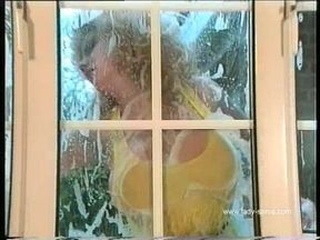 The Window Cleaner