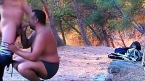 Amateur Bears in an Awesome 3-Way Cruising Adventure