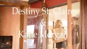 Two beauties go at it in a raw lesbian 69