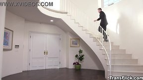 Jade venus in pantyhose distracts jayden marcos in suit