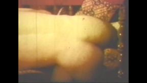 Vulgar Capricious Pig