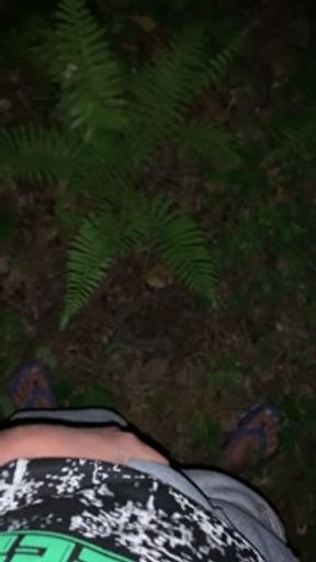 jerking off outdoors in the middle of the night