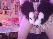 Artemis pawing off for the first time :3
