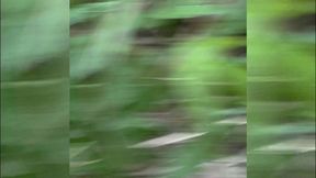 Tattooed black girl gets fucked hard on the trail