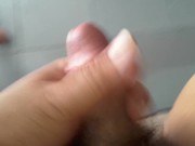 Fat Boy Solo on mirror