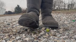 Popping Your Grapes in My Driveway With My Thick-Treaded BearPaws So You Don't Pro-Create