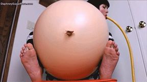 Daphney Rose Tests The Fat Formula ( Belly Bloating Stomach Expansion ) -mp4