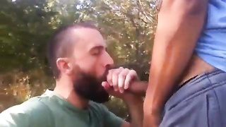 Outdoor Blowjob 2