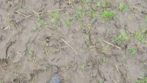 Squelching Mud With Posh Riding Boots
