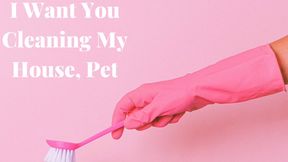 I Want You Cleaning My House, Pet