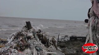 Terroristas pajeros exteriores