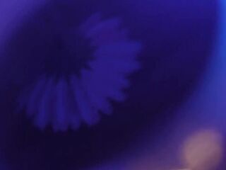 Synthetic Ecstasy - Coming Alive - ∑aria ɑ:live