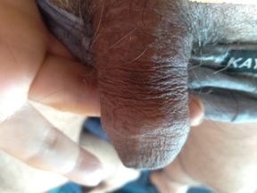 Best penis waking up with the sole intention of having sex