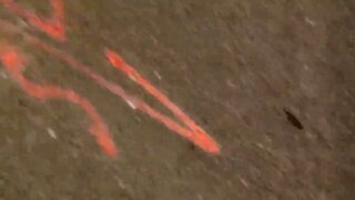 Why did the nude man cross the road