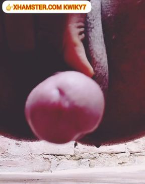 Sexy Transgender today video hindi mein