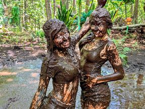 Mud Critters