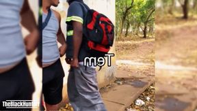 Fucking in the Park and Cumming in His Mouth