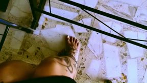 My Desk, My Rules, My Human Footstool