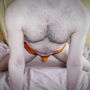 Hairy faggot in orange panties with open ass - girlz .pro - alexmilton