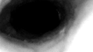 The Storm Before The Calm: Internal camera only.