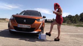 Car Crush 1