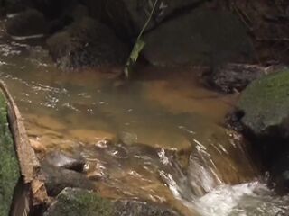 Plump old latino chaps in fetish outdoor lesson - Gorillas screwing