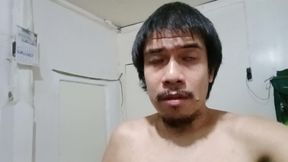 My Fighting Cock