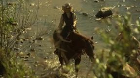 Rawhide