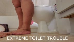 EXTREME TOILET TROUBLES