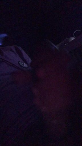 Big juicy cock getting stroked until I cum.